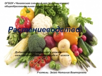 Презентация. Сорта белокочанной капусты , пригодные для потребления в свежем виде, квашения и зимнего хранения кочанов.