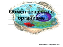 Презентация Обмен веществ в организме