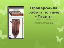 Презентация по биологии Ткани