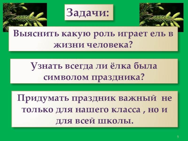 Презентация к проекту День рождения ёлочки Задачи: Выяснить какую роль играет ель в жизни человека?Узнать всегда ли Задачи: Выяснить какую роль играет ель в жизни человека?Узнать всегда ли ёлка была символом праздника?Придумать праздник важный