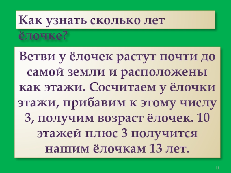 Презентация к проекту День рождения ёлочки Как узнать сколько лет ёлочке?Ветви у ёлочек растут почти до самой Как узнать сколько лет ёлочке?Ветви у ёлочек растут почти до самой земли и расположены как этажи. Сосчитаем
