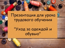 Презентация к уроку трудового обучения Уход за одеждой и обувью