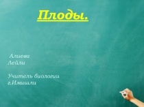 Презентация по биологии на тему Плоды(6 класс)