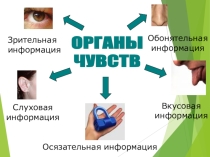 Презентация, на тему: Виды информации и её свойства, 3 класс