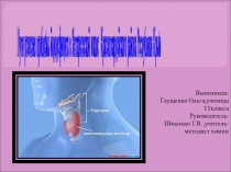 Работа Пути решения проблемы йододефицита в Янтарненской школе Республики Крым
