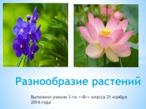 Берегите растения