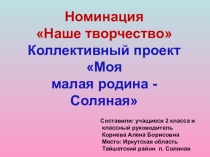 Проект. Моя малая родина - Соляная