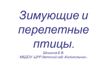Развитие речи. Зимующие и перелетные птицы