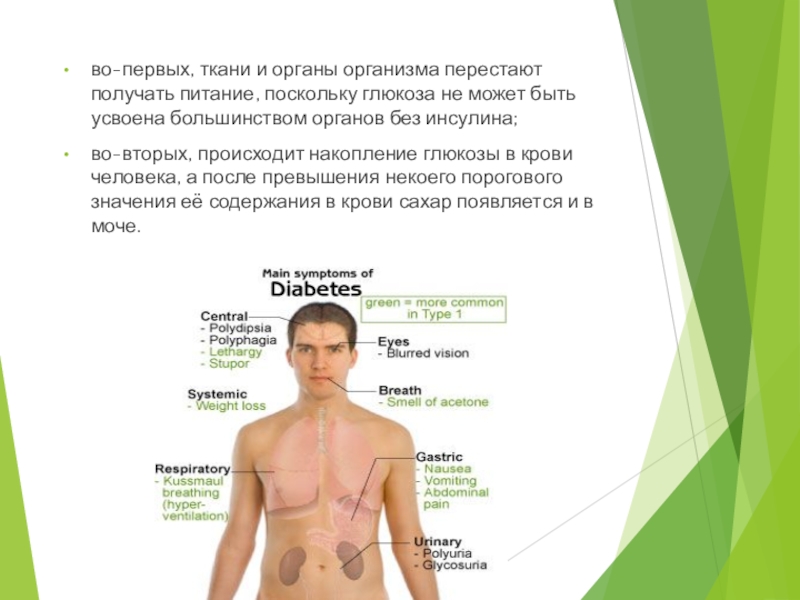 Презентация по биологии сахарный диабет