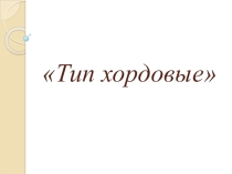 Презентация по биологии на темуТип хордовые(7 класс)