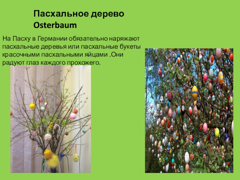Презентация проекта Пасха в Германии Пасхальное дерево Osterbaum На Пасху в Германии обязательно наряжают пасхальные Пасхальное дерево Osterbaum На Пасху в Германии обязательно наряжают пасхальные деревья или пасхальные букеты