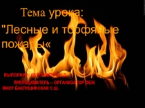 Презентация по ОБЖ Лесные и торфяные пожары(8 класс)