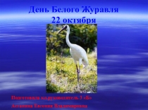 Презентация к классному часу День белого журавля