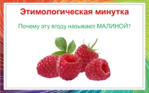Презентация по русскому языку Слитное и раздельное написание -НЕ- с наречиями на -О- и -Е- (7 класс)