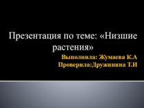 Презентация по ботанике на тему Водоросли