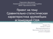 Презентация Сравнительно-статистическая характеристика крупнейших агломераций США (11 класс)