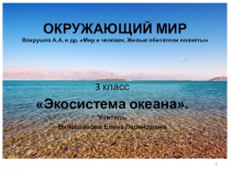 Конспект урока Экосистема океана