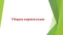 Презентация по трудовому обучению на тему: Уборка корнеплодов (8 класс)