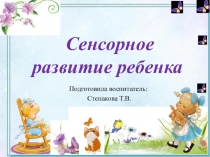 Сенсорное развитие ребенка