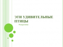 Презентация по окружающему миру Эти удивительные птицы