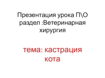 Презентация Этапы выполнения кастрации кота