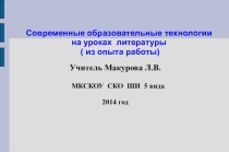 Современные образовательные технологии на уроках литературы