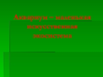 Презентация по окружающему миру по теме Первый шаг из моря на сушу