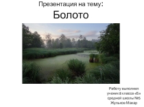 Презентация по географии по теме Внутренние воды -болота