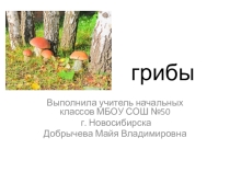 Загадки о грибах. Презентация.