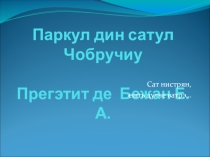 Презентация к классному часу не тему Парк Чобручи