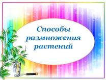 Презентация по биологии  Вегетативное размножение растений