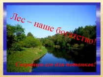 Презентация Лес - наше богатство