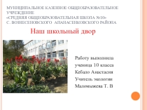 Презентация по экологии Наш школьный двор