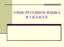 Презентация по русскому языку Множественное число имен существительных (5 класс)