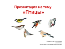 Занятие.  Птицы