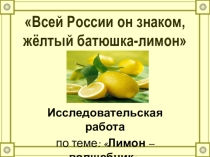 Презентация проектной работы по теме Мой друг лимон