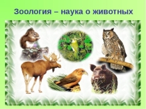 Презентация по окружающему миру на тему: Зоология - наука о животных