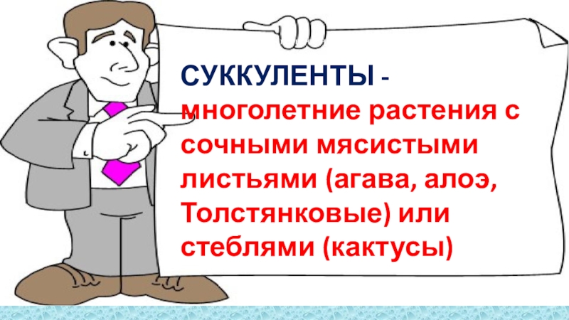 Презентация к естественно-научному квесту В поисках клада Альбинизм - Врождённое отсутствие нормальной для данного вида организмов пигментации. СУККУЛЕНТЫ Альбинизм - Врождённое отсутствие нормальной для данного вида организмов пигментации. СУККУЛЕНТЫ - многолетние растения с