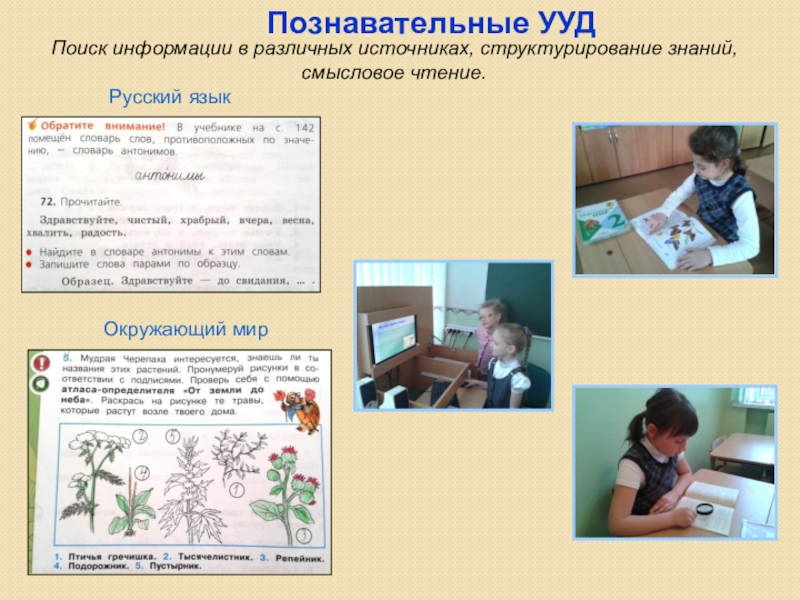 Презентация Организация единой системы преемственности между ДО и НОО, способствующей выравниванию стартовых возможностей детей с ОВЗ Познавательные УУДПоиск информации в различных источниках, структурирование знаний, смысловое чтение.Русский языкОкружающий мир Познавательные УУДПоиск информации в различных источниках, структурирование знаний, смысловое чтение.Русский языкОкружающий