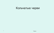 Урок биологии 7 класс по темеТип Кольчатые черви