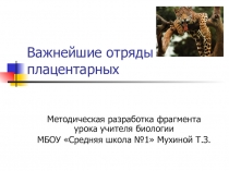 Презентация по биологии на тему Важнейшие отряды плацентарных