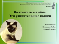 Презентация к исследовательской работе Эти удивительные кошки