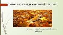 Проект Польза опавших листьев