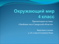 Презентация Хвойные леса Самарской области Солуянова Ивана, ученика 4А класса МБОУ Школа № 42 г.о. Самара. Учитель Панькина О.Ф.