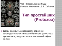 Презентация по биологии Простейшие (7 класс)