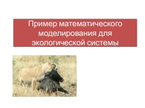 Презентация к уроку Методика имитационного моделирования по информатике углубленный курс (11 класс)