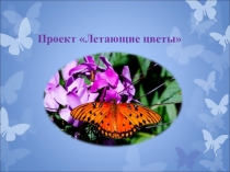 Презентация проекта Летающие цветы