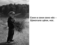 Презентация: Склонение имен существительных.