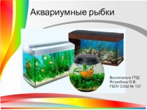 Презентация к занятию Океанариум -  Аквариумные рыбки