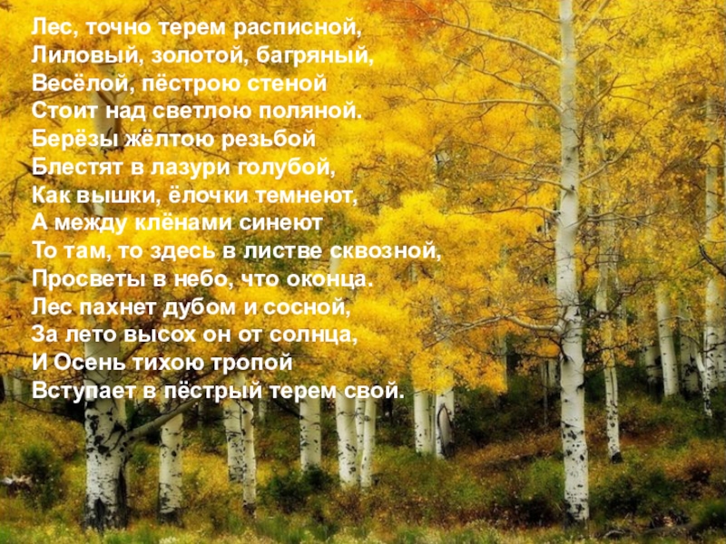 Изменение глаголов в настоящем времени по лицам и числам Лес, точно терем расписной,Лиловый, золотой, багряный,Весёлой, пёстрою стенойСтоит над светлою поляной.Берёзы Лес, точно терем расписной,Лиловый, золотой, багряный,Весёлой, пёстрою стенойСтоит над светлою поляной.Берёзы жёлтою резьбойБлестят в лазури голубой,Как вышки,